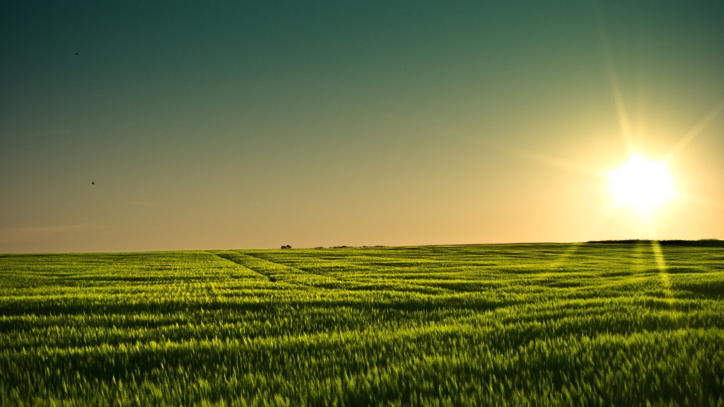 Pradera verde iluminada por el sol de la tarde — Origen de Qué Huevones